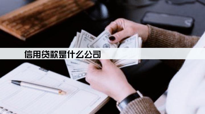信用贷款是什么公司