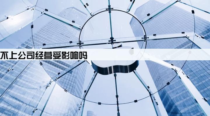 公司贷款用房子抵押还不上公司经营受影响吗