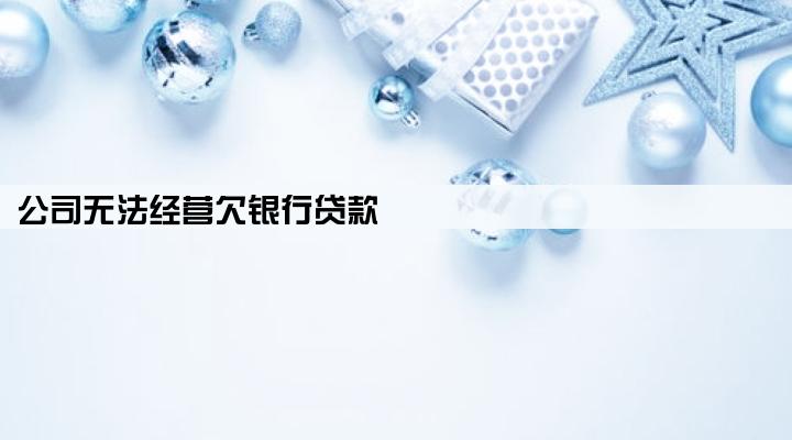 公司无法经营欠银行贷款