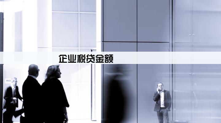 企业税贷金额