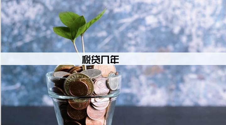 税贷几年