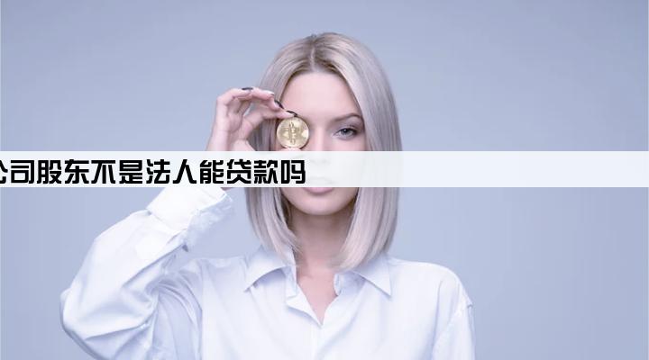 公司股东不是法人能贷款吗