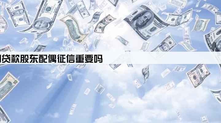 公司贷款股东配偶征信重要吗