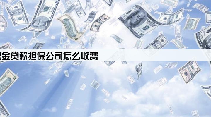 公积金贷款担保公司怎么收费