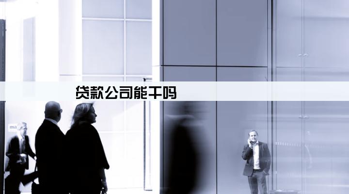 贷款公司能干吗