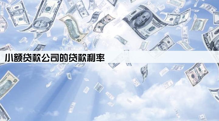 小额贷款公司的贷款利率