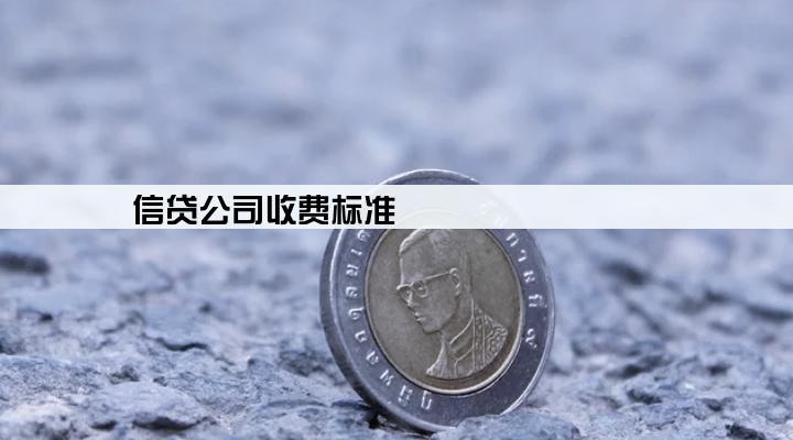 信贷公司收费标准