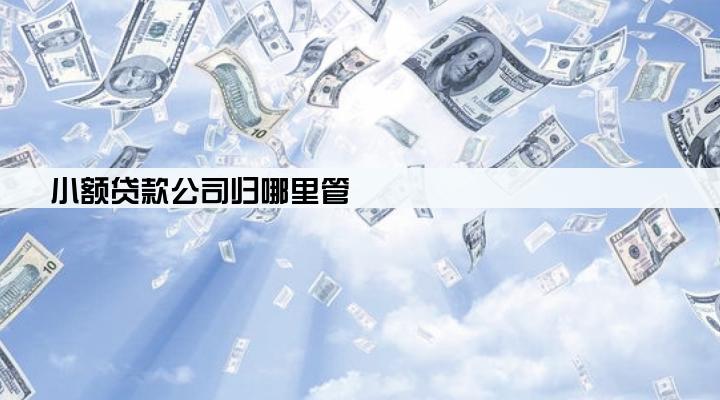 小额贷款公司归哪里管
