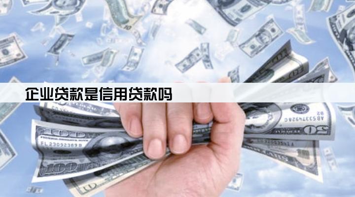 企业贷款是信用贷款吗