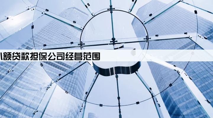 小额贷款担保公司经营范围