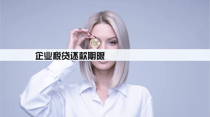 企业税贷还款期限
