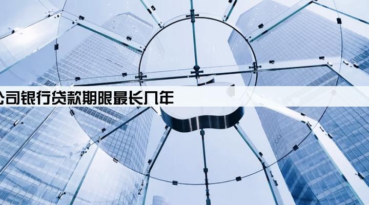 公司银行贷款期限最长几年