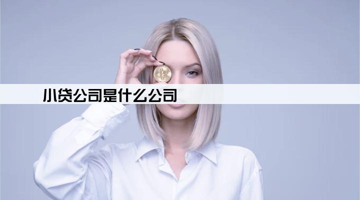 小贷公司是什么公司