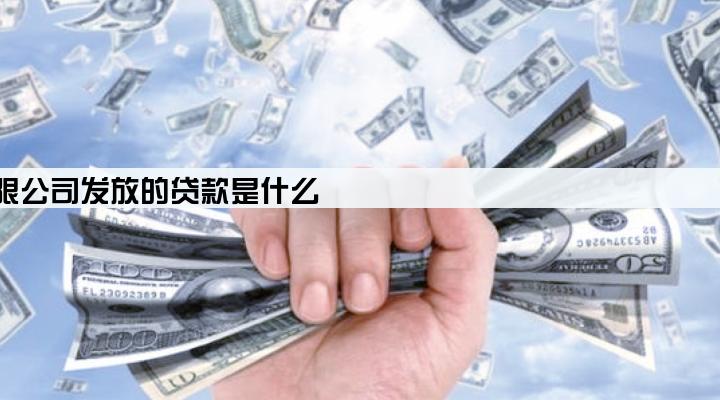 西安股份有限公司发放的贷款是什么