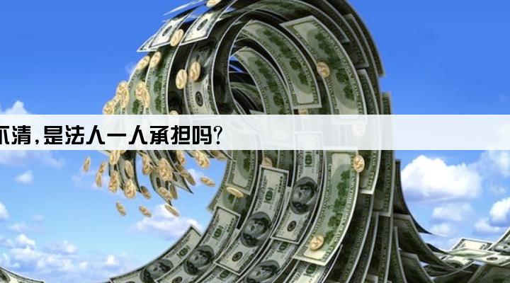 公司税贷款还不清,是法人一人承担吗?