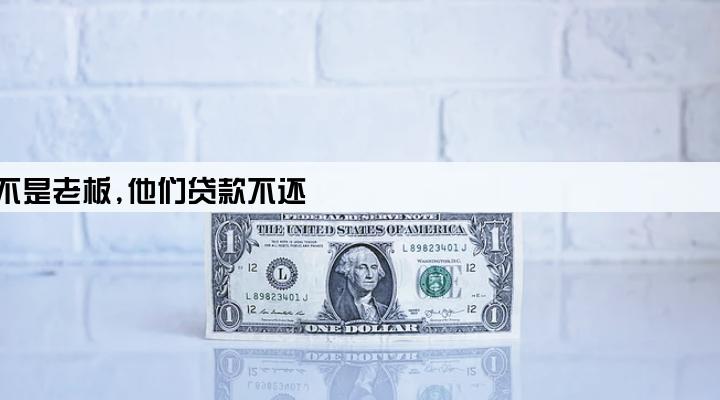 我是公司法人但我不是老板,他们贷款不还