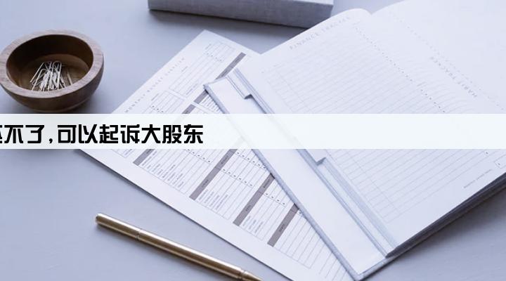 公司给别人担保贷款,别人还不了,可以起诉大股东