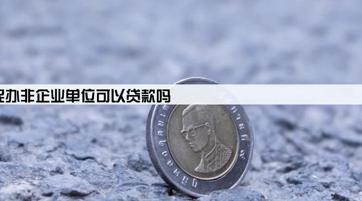 民办非企业单位可以贷款吗