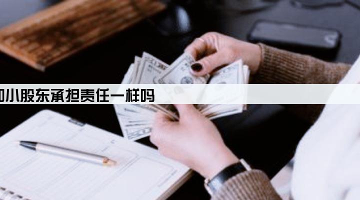 公司贷款大股东和小股东承担责任一样吗
