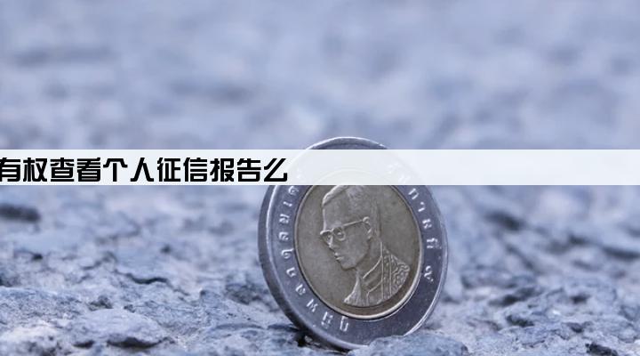 贷款公司有权查看个人征信报告么