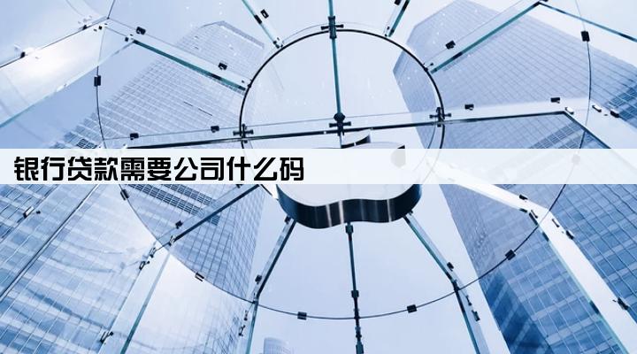 银行贷款需要公司什么码