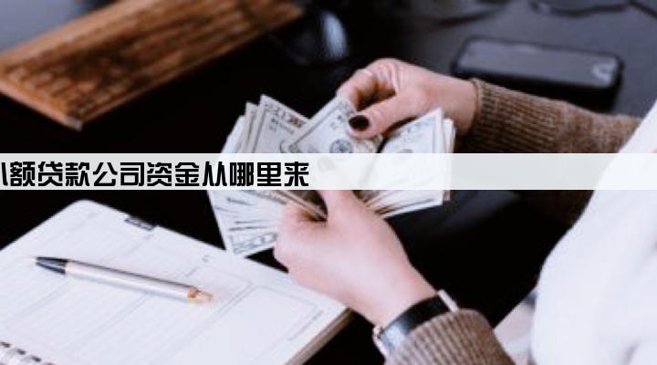 小额贷款公司资金从哪里来