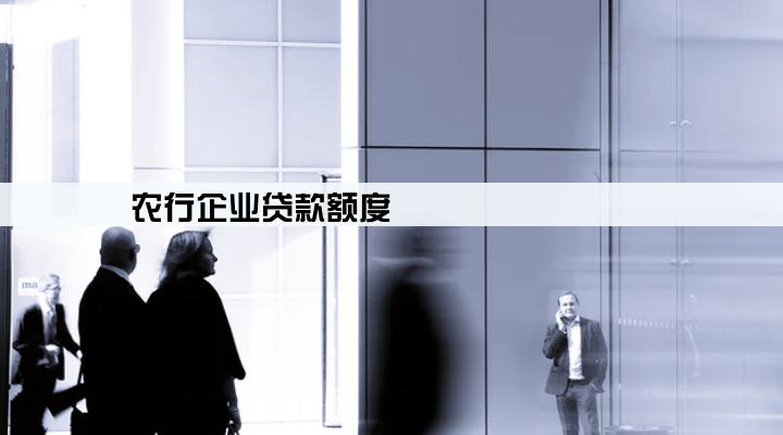 农行企业贷款额度