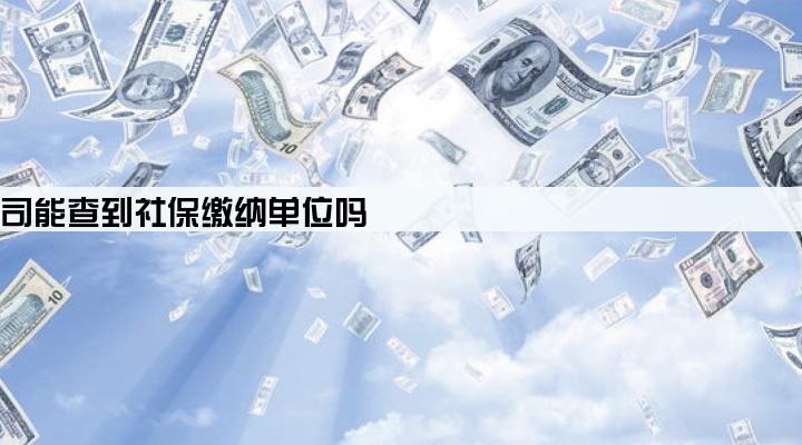 贷款公司能查到社保缴纳单位吗