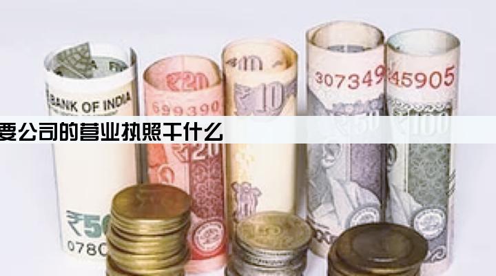 办理车贷要公司的营业执照干什么
