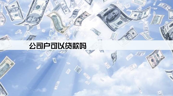 公司户可以贷款吗