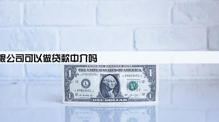 信息咨询有限公司可以做贷款中介吗