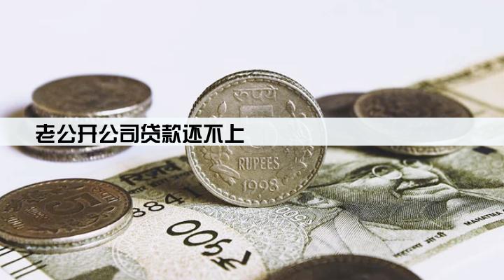 老公开公司贷款还不上