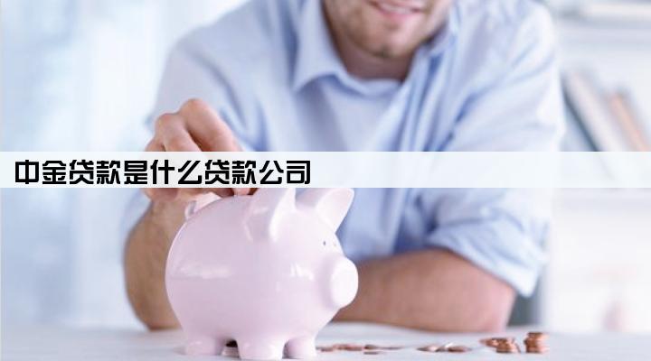 中金贷款是什么贷款公司