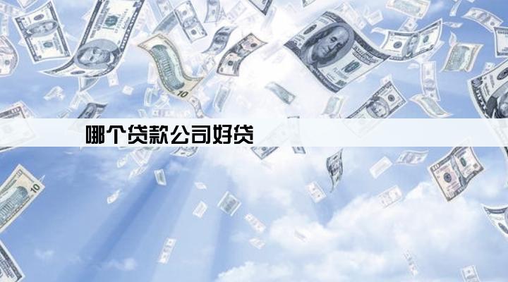哪个贷款公司好贷