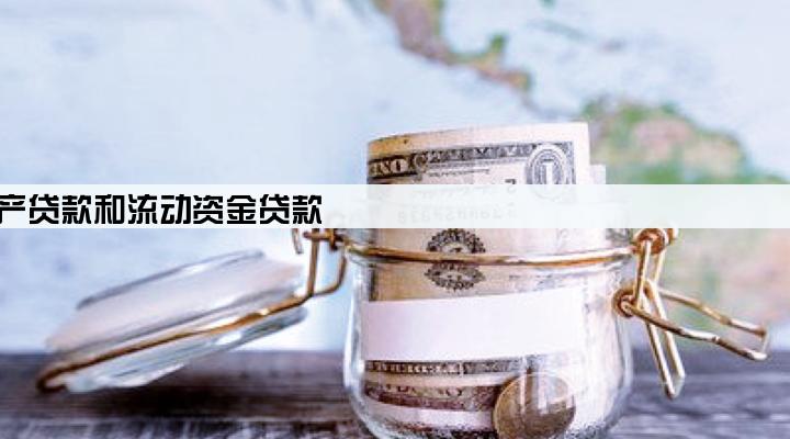 公司贷款主要包括固定资产贷款和流动资金贷款