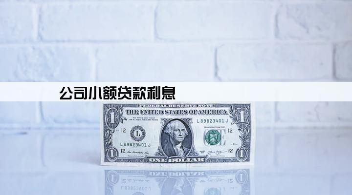 公司小额贷款利息