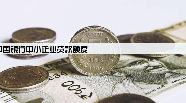 中国银行中小企业贷款额度