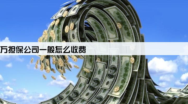 贷款20万担保公司一般怎么收费