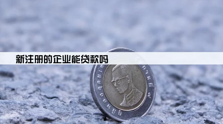 新注册的企业能贷款吗