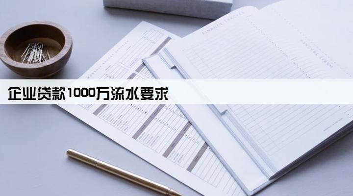 企业贷款1000万流水要求