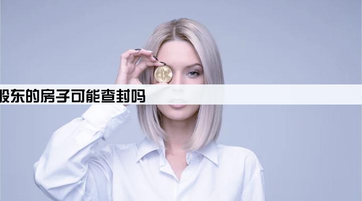 公司贷款股东签字了还不上股东的房子可能查封吗