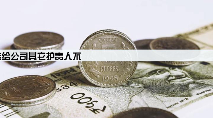 法人帮公司贷款还不上可以将贷款转给公司其它护责人不