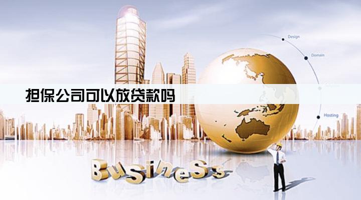 担保公司可以放贷款吗