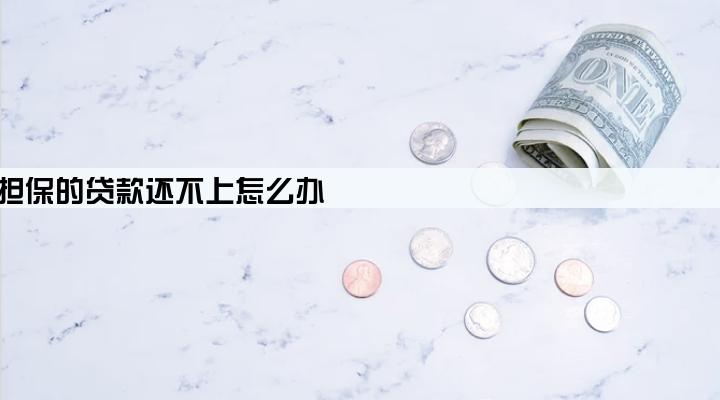保险公司担保的贷款还不上怎么办