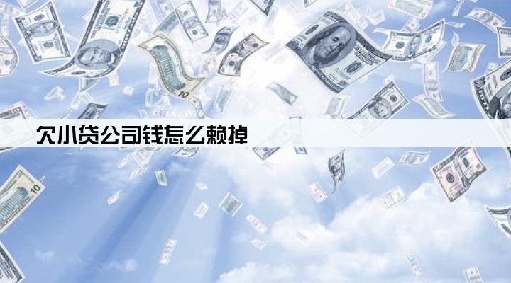 欠小贷公司钱怎么赖掉