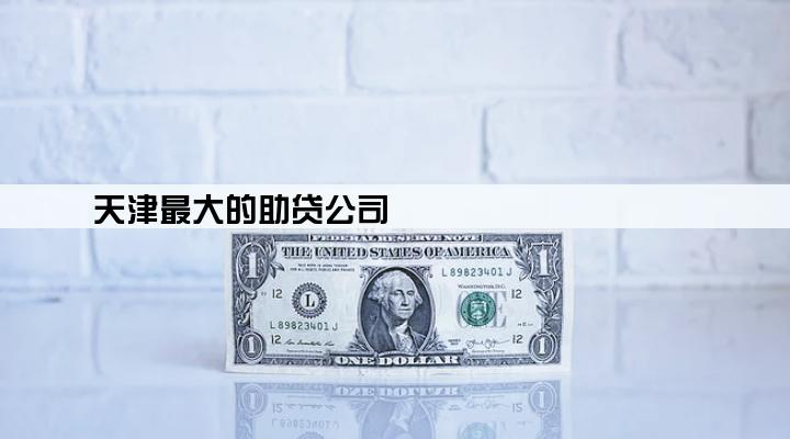 天津最大的助贷公司
