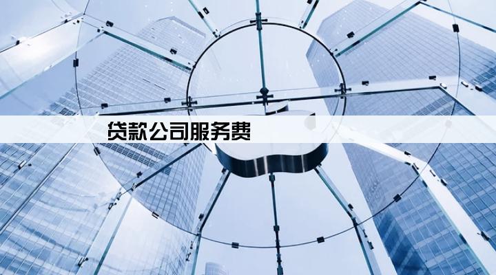 贷款公司服务费