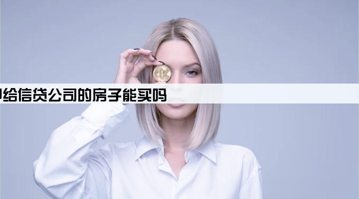 抵押给信贷公司的房子能买吗