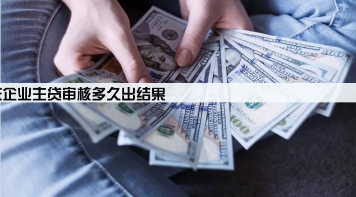京东企业主贷审核多久出结果