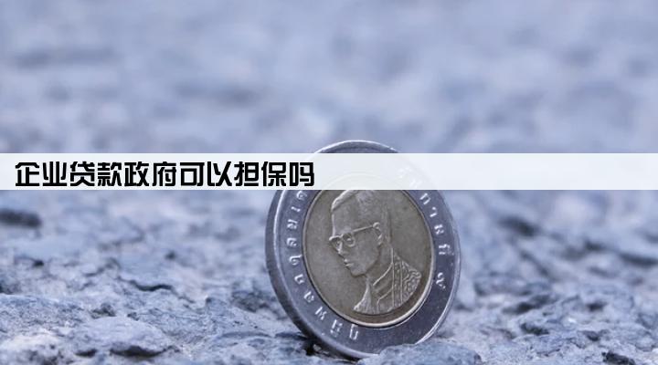 企业贷款政府可以担保吗
